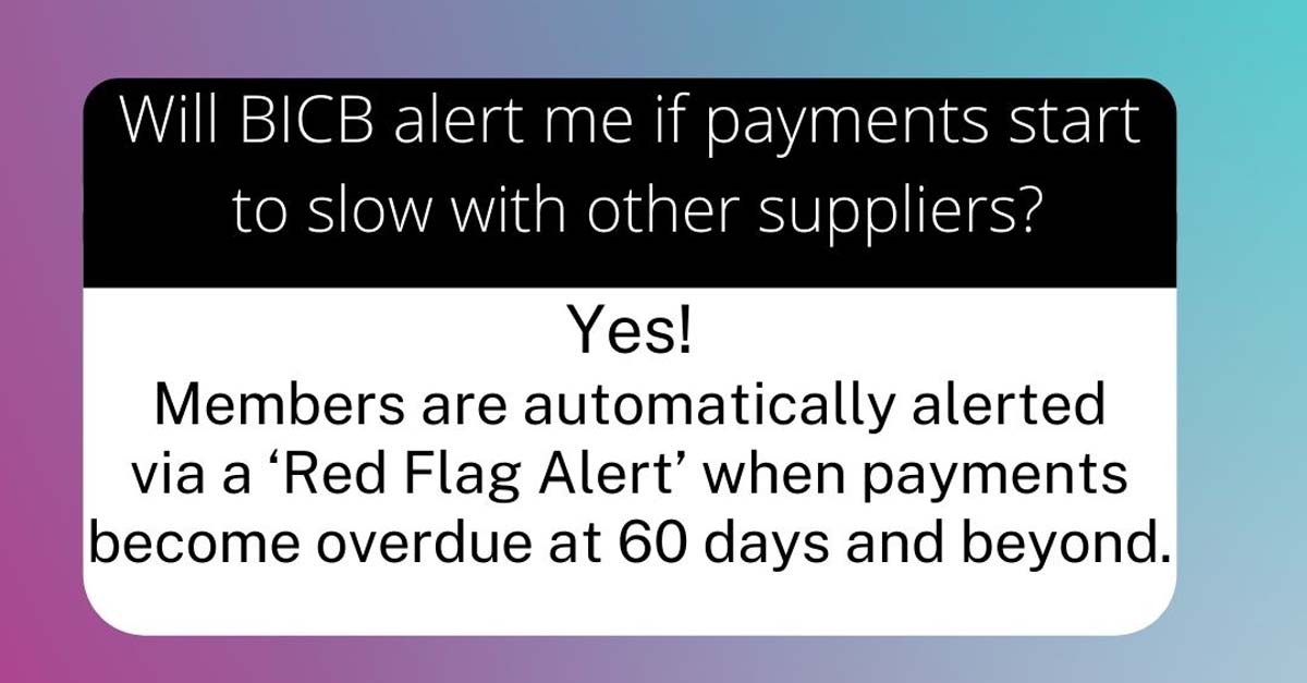bicb-alert-slow-payments